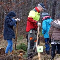 Plant for the Planet Plant for the Planet