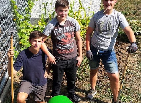 Bei der Arbeit im Schulgarten Bei der Arbeit im Schulgarten
