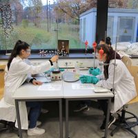 Experimentieren im Energie-LAB