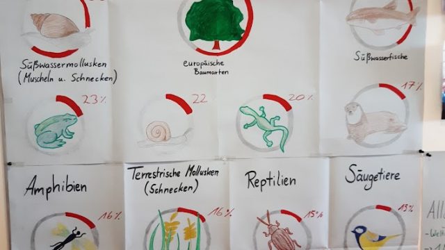 Wandzeitung bei der Ausstellung der Ergebnisse zum Thema Biodiverisität in Europa