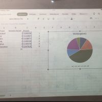 Simulation der Europa-Wahl mit selbst gegründeten Parteien (10g)