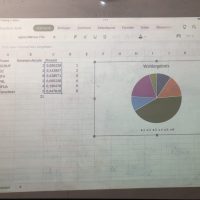Simulation der Europa-Wahl mit selbst gegründeten Parteien (10g)